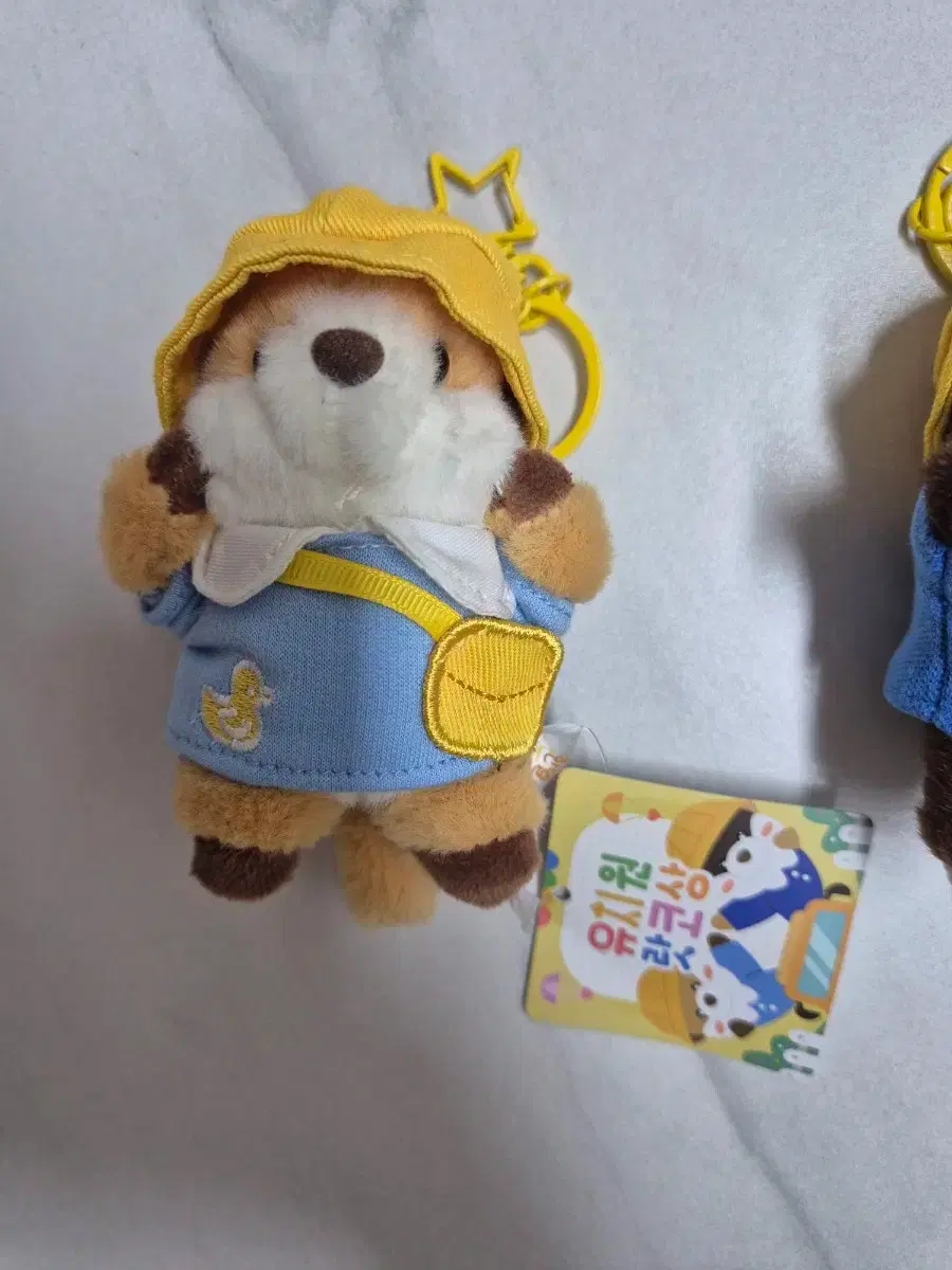 thumbnail-4